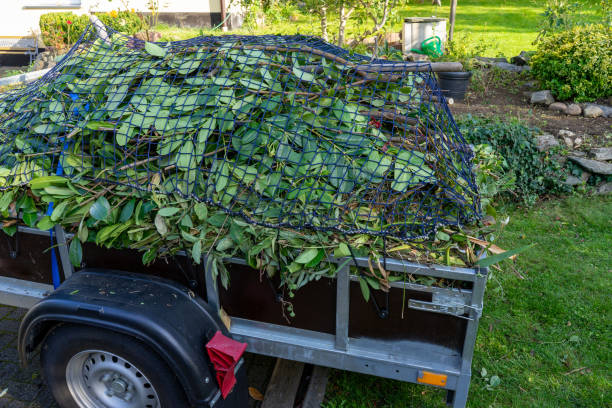 Trusted Brookhaven, WV Junk Removal Services Experts